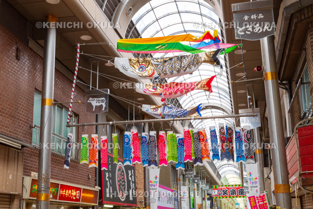 大阪府　キララ九条商店街　鯉のぼり