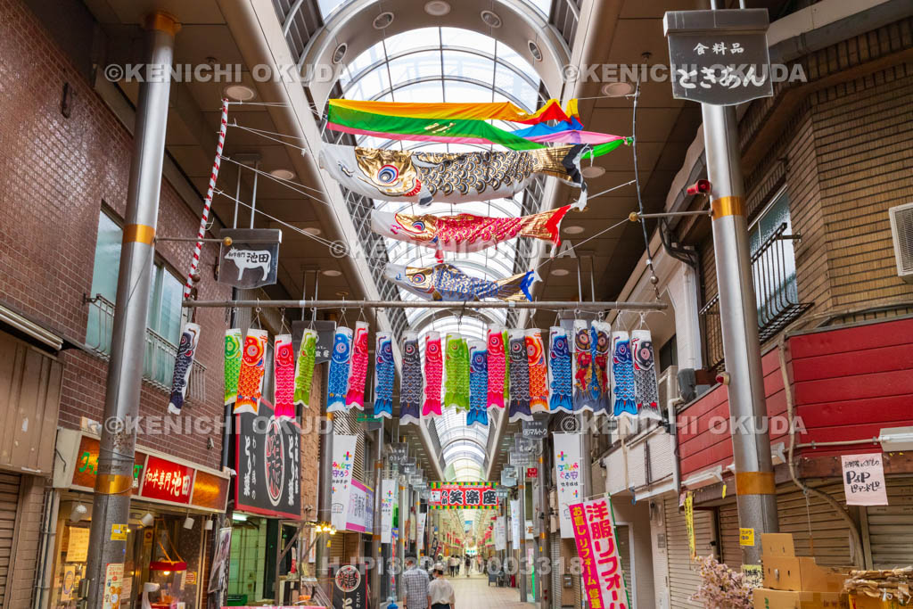大阪府　キララ九条商店街　鯉のぼり