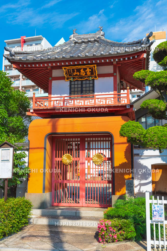 大阪府 九島院 山門