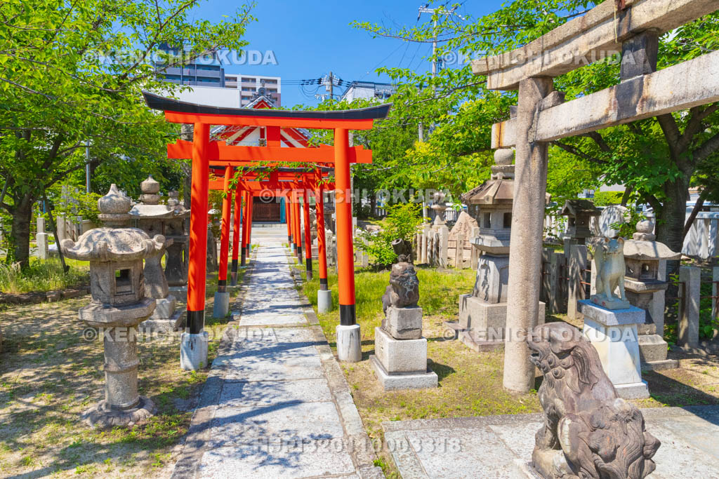 大阪府　土佐稲荷神社　若宮神社　参道