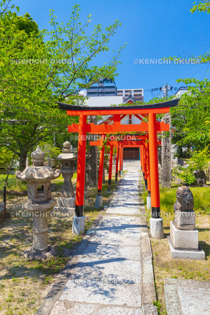 大阪府　土佐稲荷神社　若宮神社　参道