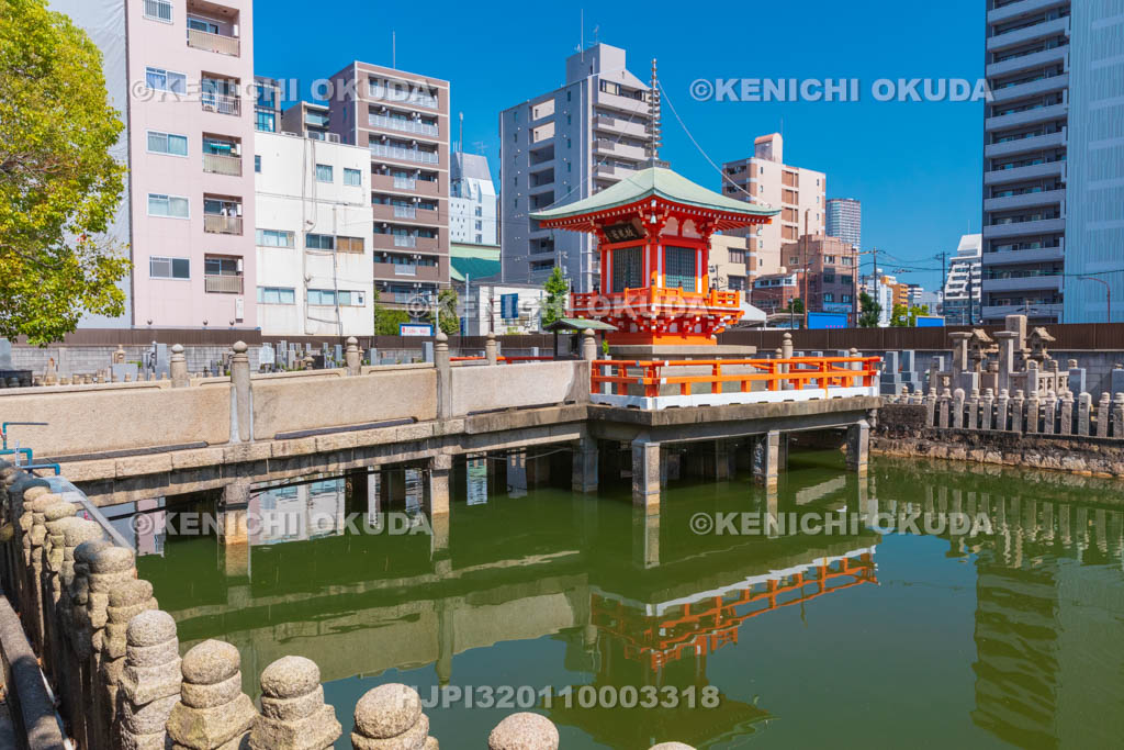 大阪府　和光寺　阿弥陀池