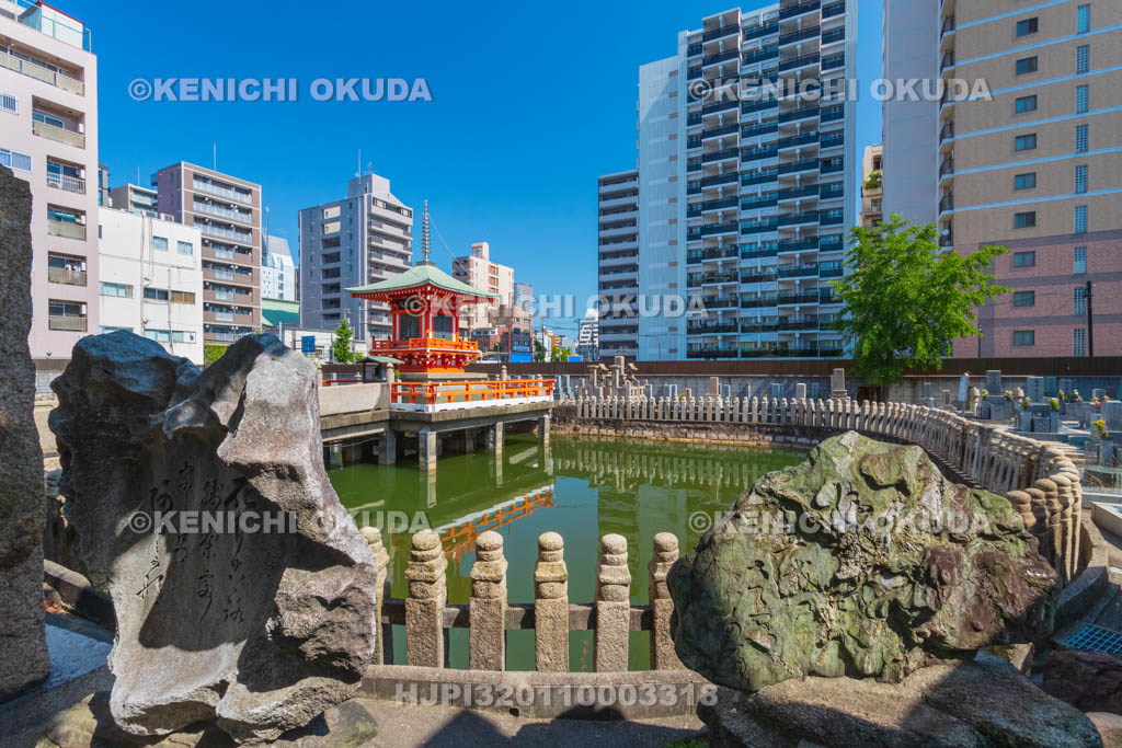 大阪府　和光寺　阿弥陀池
