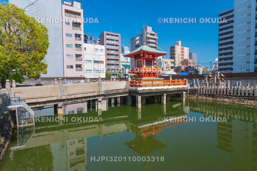 大阪府　和光寺　阿弥陀池