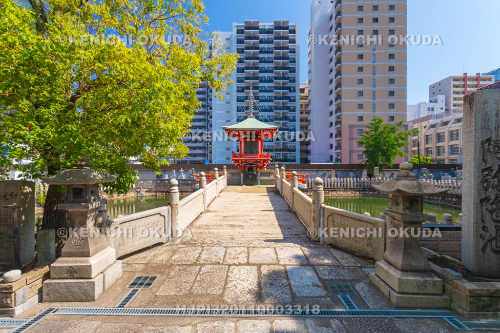大阪府　和光寺　阿弥陀池