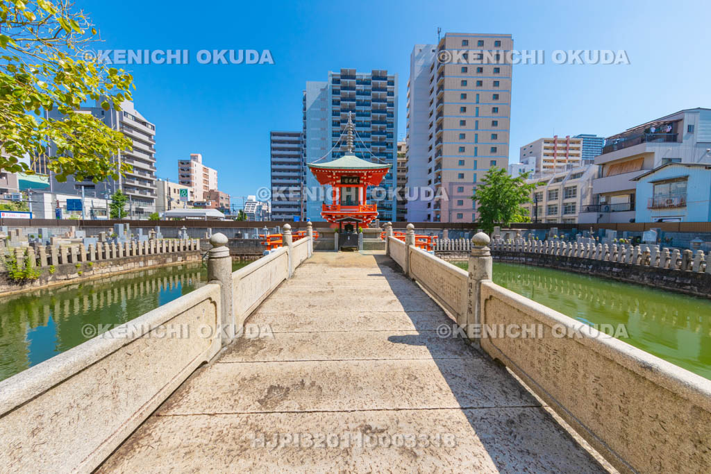 大阪府　和光寺　阿弥陀池
