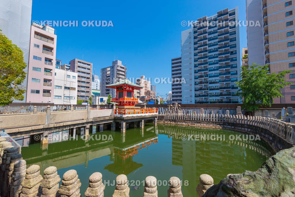 大阪府　和光寺　阿弥陀池