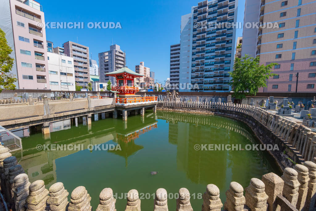 大阪府　和光寺　阿弥陀池