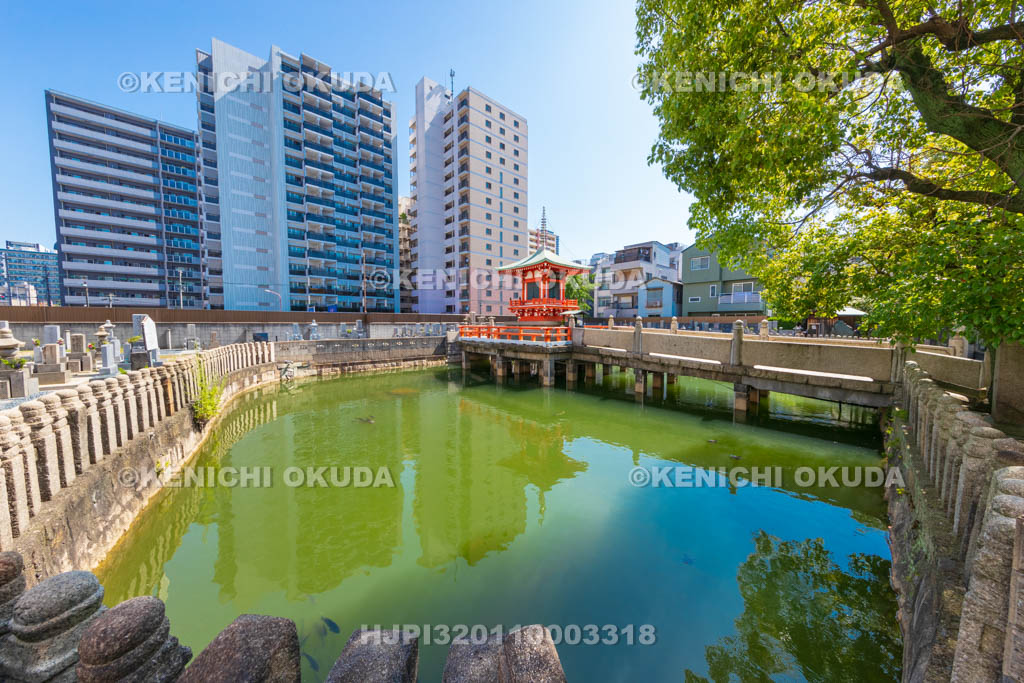 大阪府　和光寺　阿弥陀池