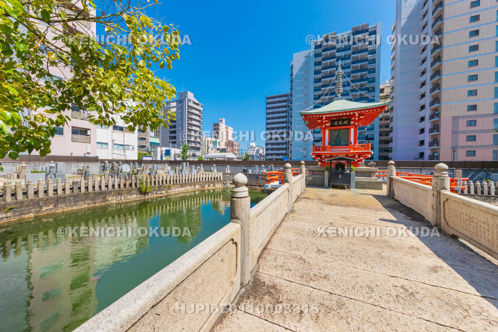 大阪府　和光寺　阿弥陀池