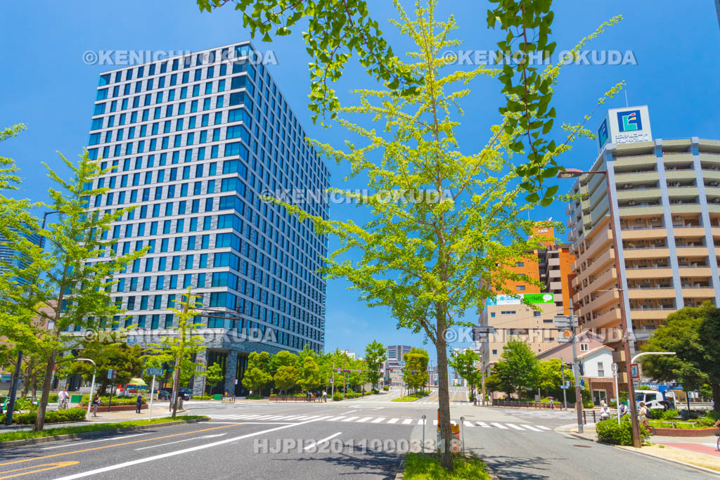 大阪府 土佐堀1交差点