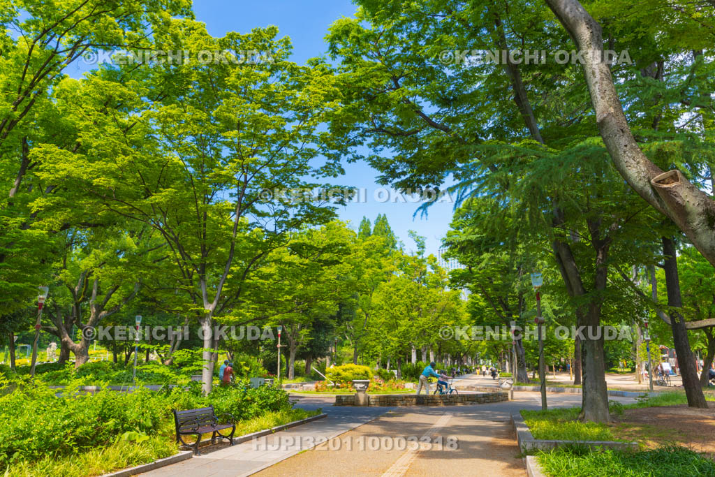 大阪府　靭公園