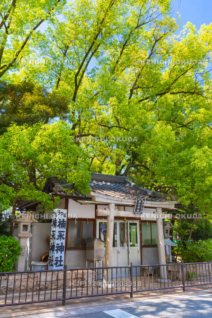 大阪府　靭公園　楠永神社