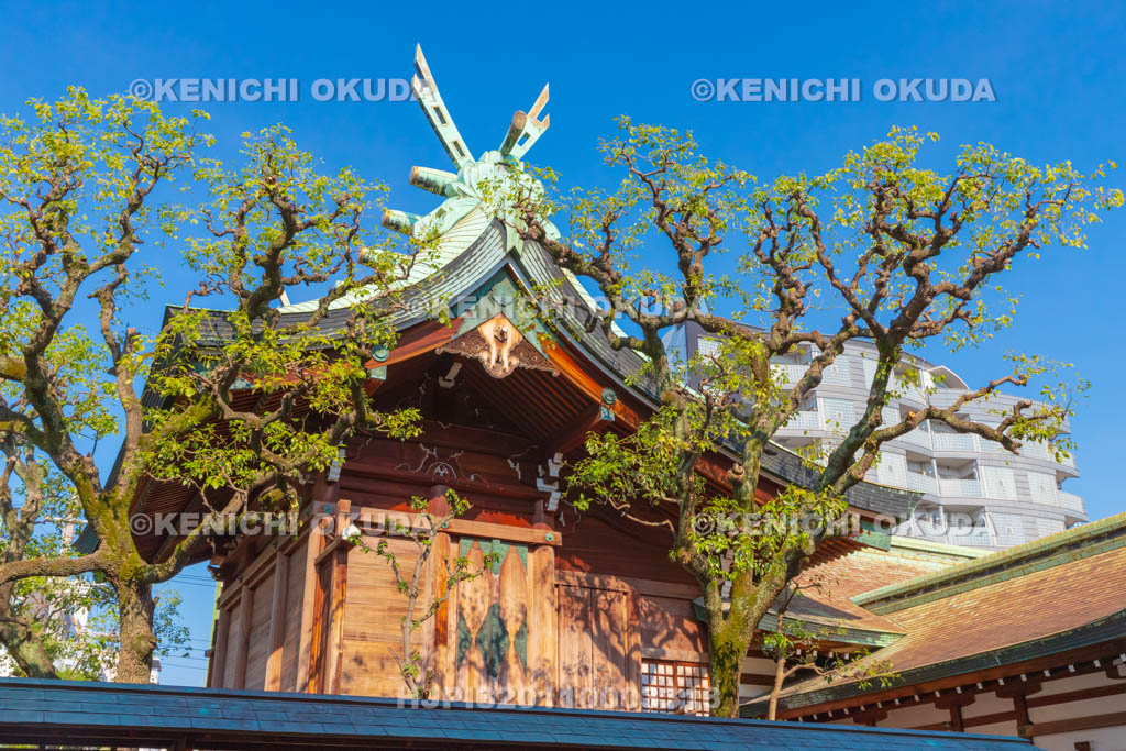 大阪府 今宮戎神社 本殿