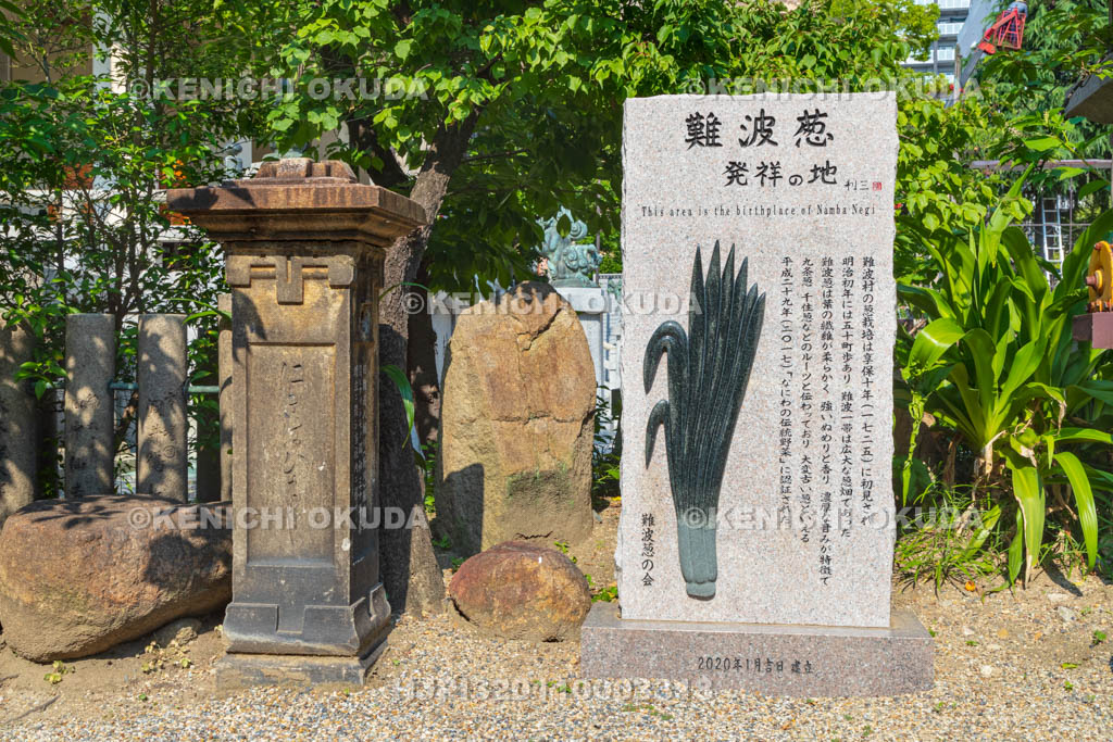 大阪府　難波八阪神社　賑橋碑　難波葱発祥の地碑
