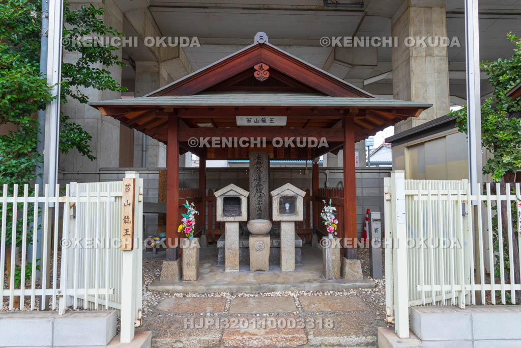 大阪府　苔山龍王