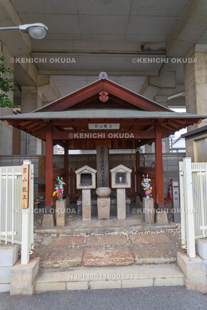 大阪府　苔山龍王