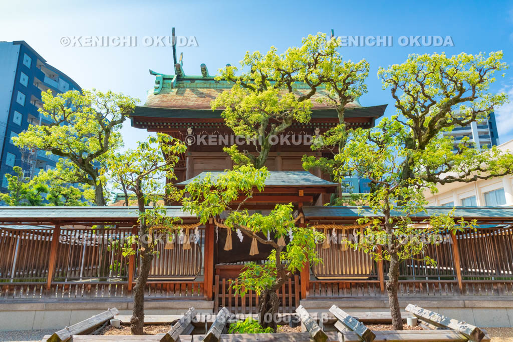大阪府 今宮戎神社 本殿と銅鑼(ドラ)