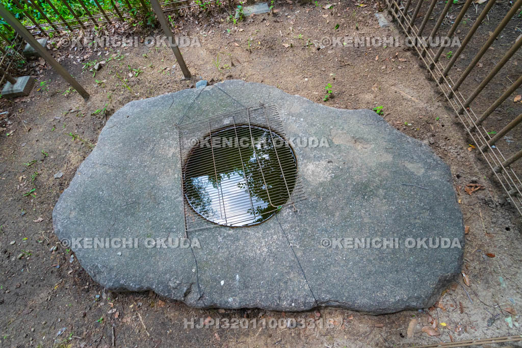 大阪府　天下茶屋公園　阿倍寺塔刹柱礎石