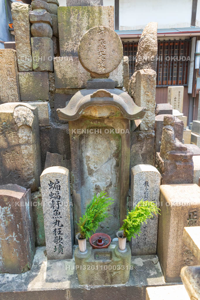 大阪府 安養寺 佐藤魚丸の墓