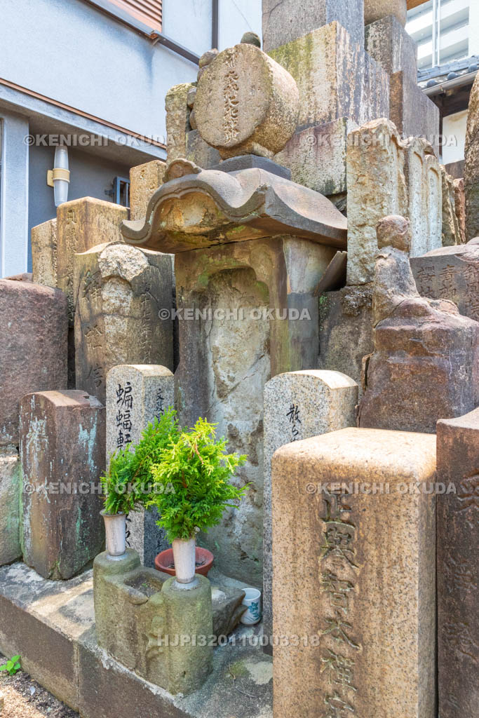 大阪府　安養寺　佐藤魚丸の墓