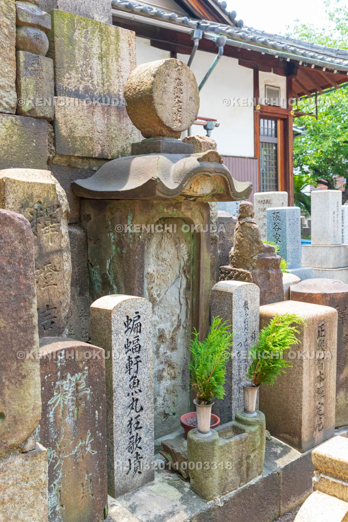 大阪府 安養寺 佐藤魚丸の墓