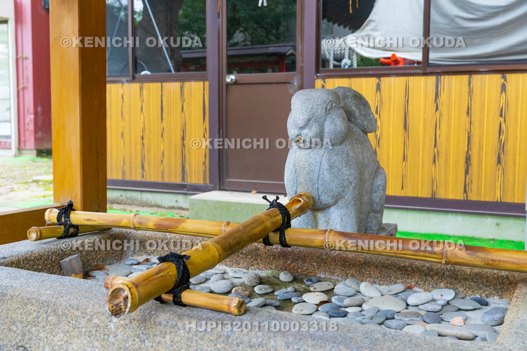 大阪府　港住吉神社　兎の手水
