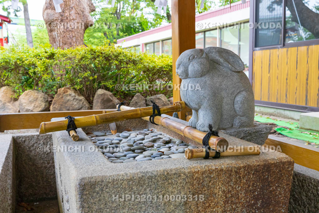 大阪府　港住吉神社　兎の手水