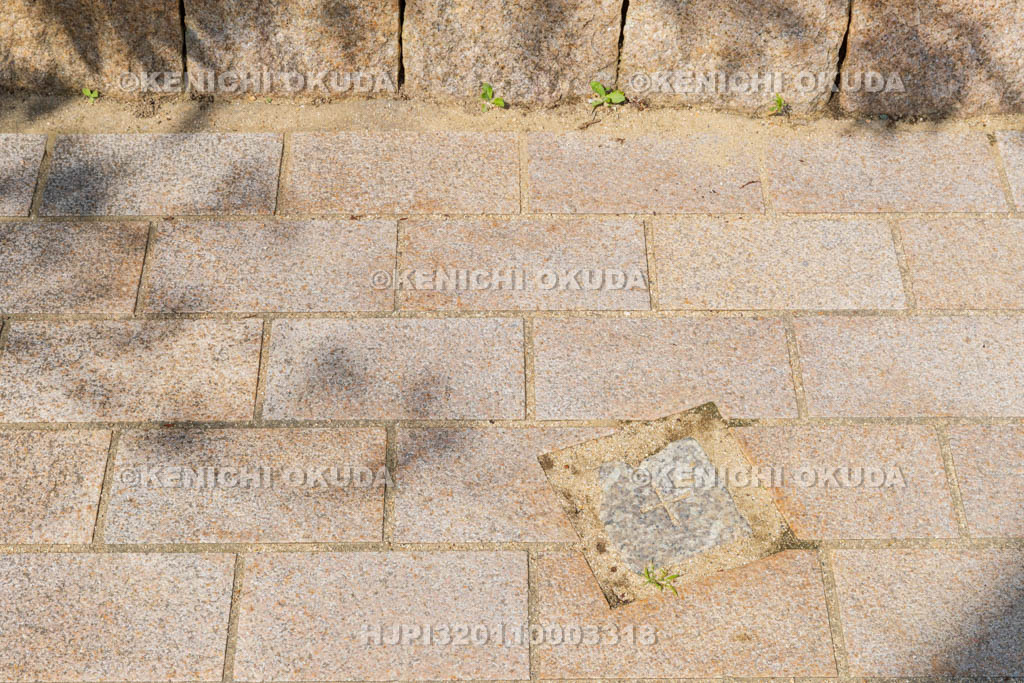 大阪府　天保山山頂　二等三角点