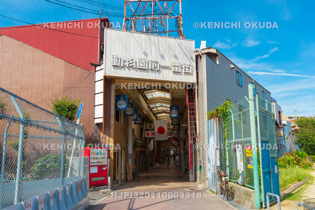 大阪府　動物園前一番街　南側