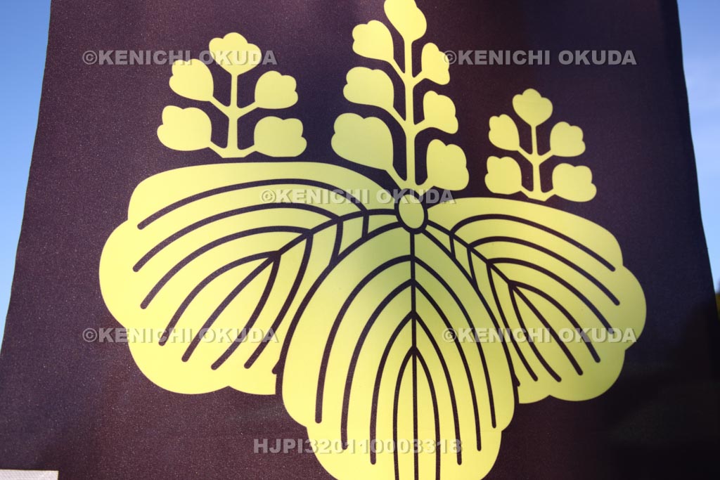 大阪府 大阪城公園 五七桐の旗