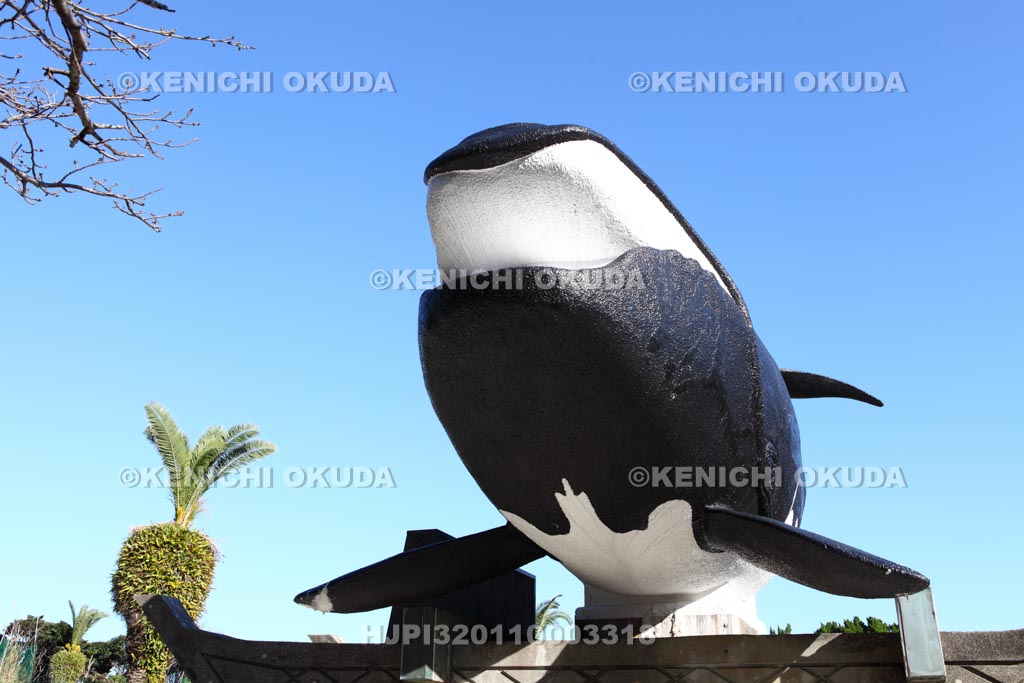 和歌山県　梶取崎公園　くじら供養碑