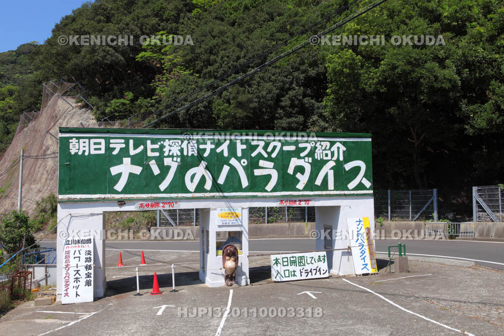 兵庫県　淡路島　立川水仙郷　ナゾのパラダイス