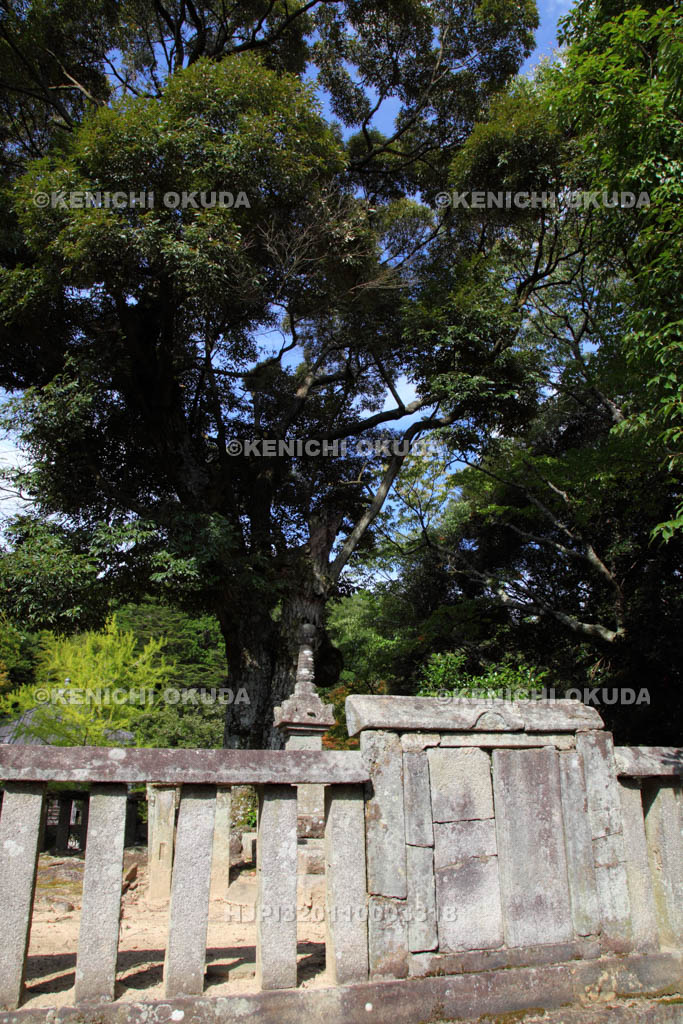 兵庫県　花山院菩提寺　花山法皇御廟所