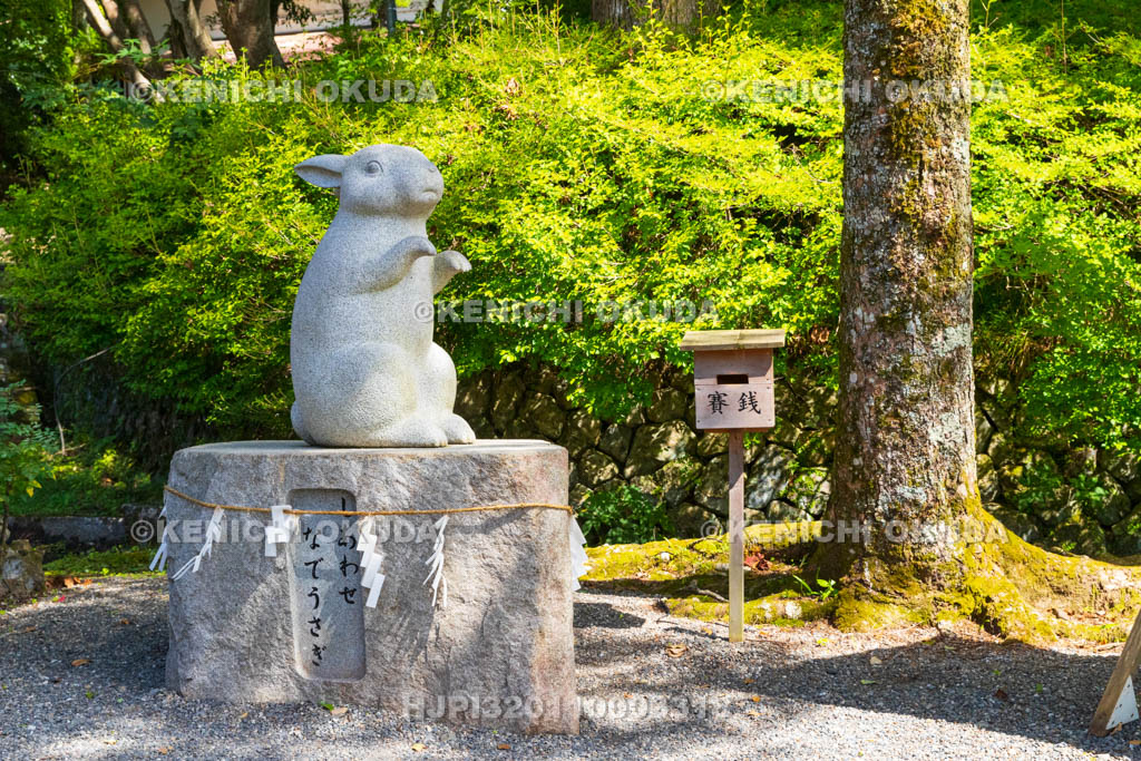 京都府 出雲大神宮 「しあわせ、なでうさぎ」