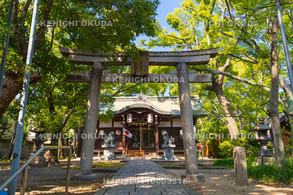 大阪府　津守神社