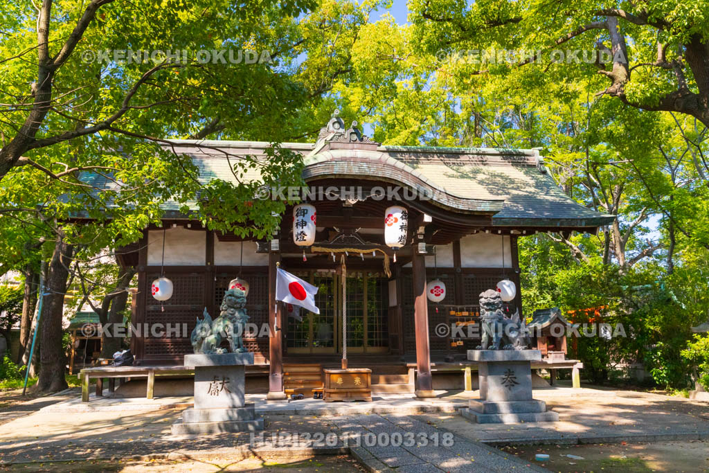 大阪府　津守神社　拝殿