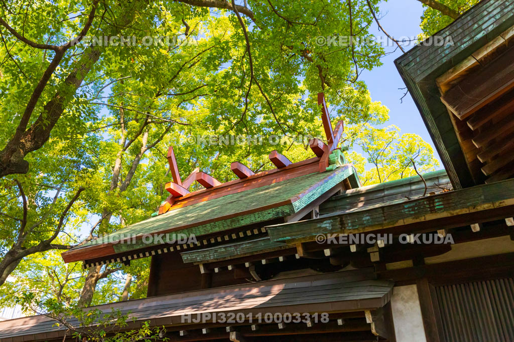 大阪府　津守神社　本殿