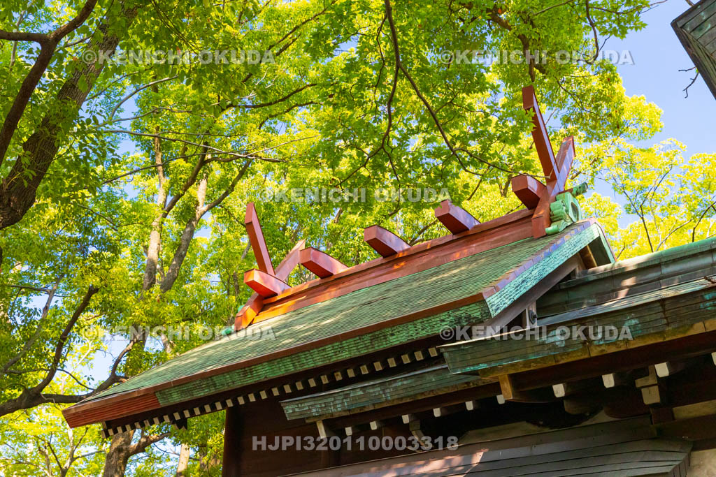 大阪府　津守神社　本殿