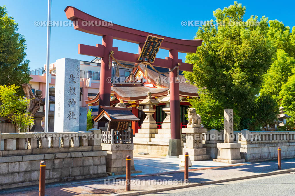 大阪府　生根神社（上の天神）