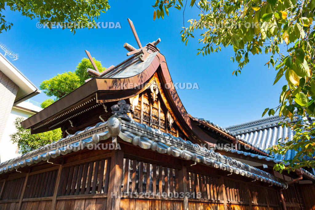 大阪府　野江水神社　本殿