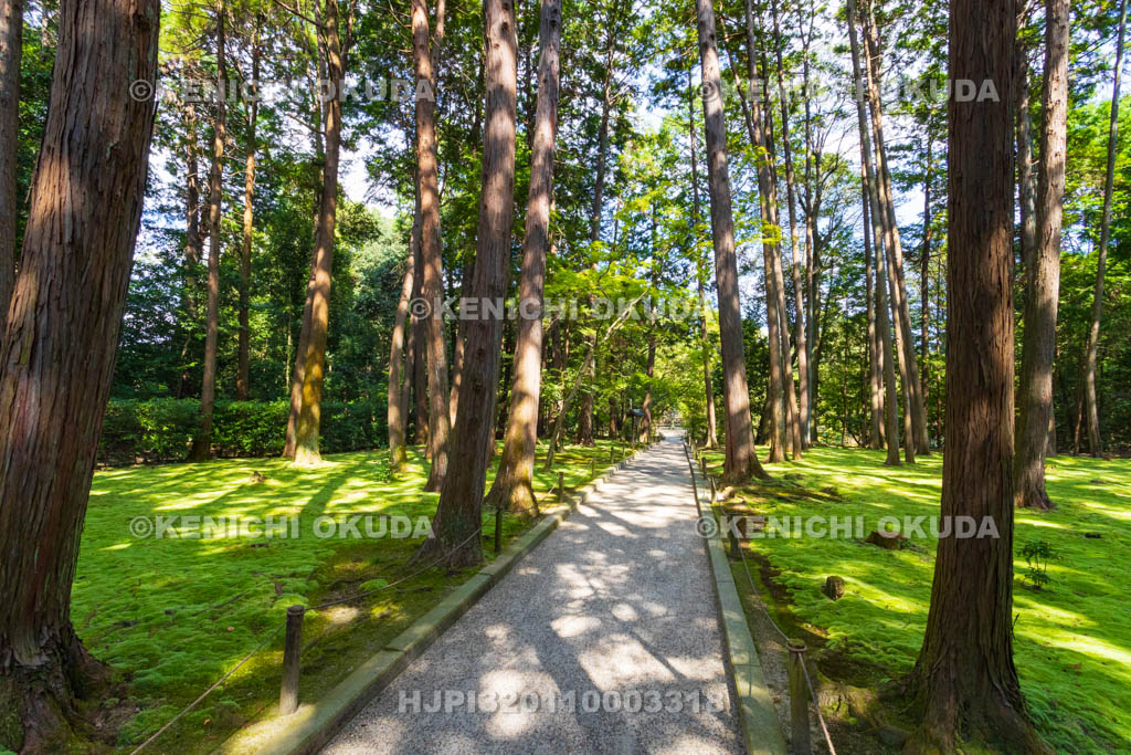 奈良県　唐招提寺　鑑真和上御廟への道