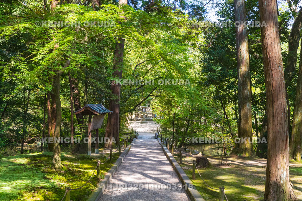 奈良県　唐招提寺　鑑真和上御廟への道