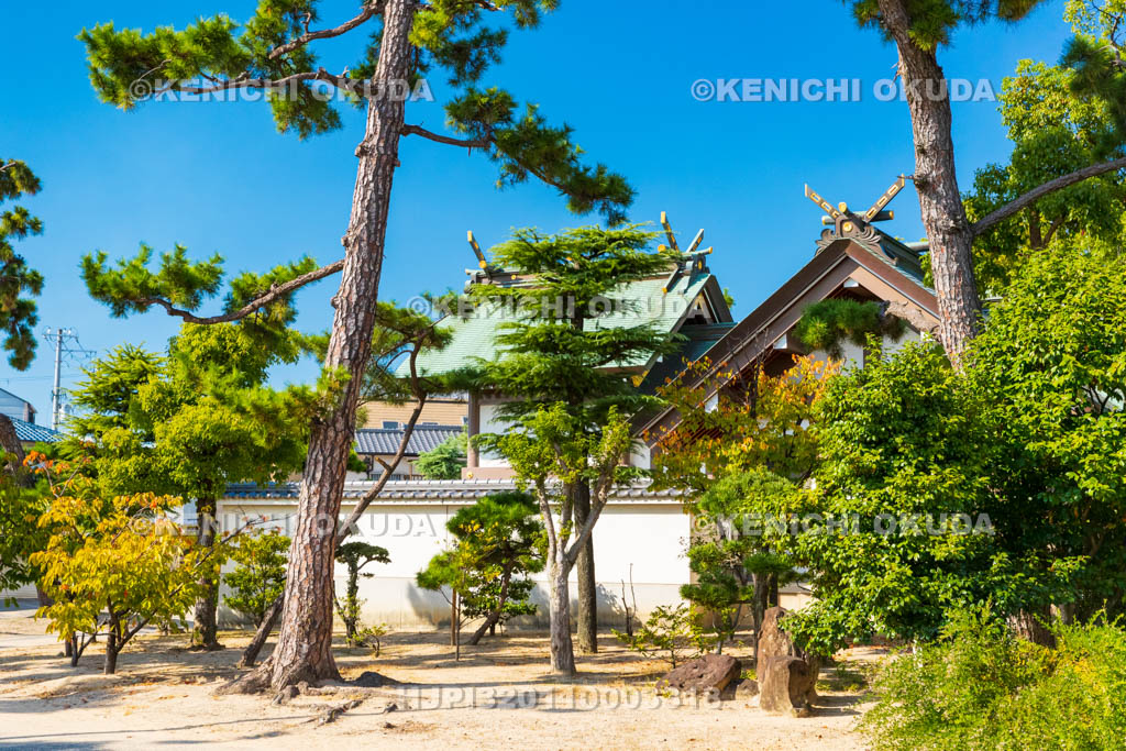 大阪府　大鳥羽衣濱神社