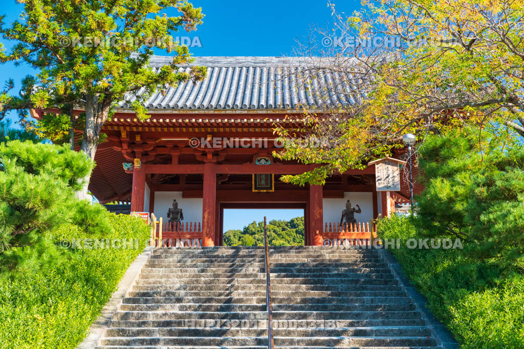 大阪府　叡福寺　南大門