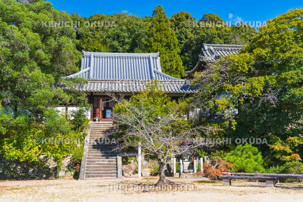 大阪府　叡福寺　浄土堂
