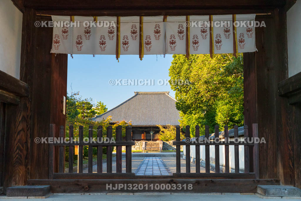 奈良県　西大寺　本堂と南門