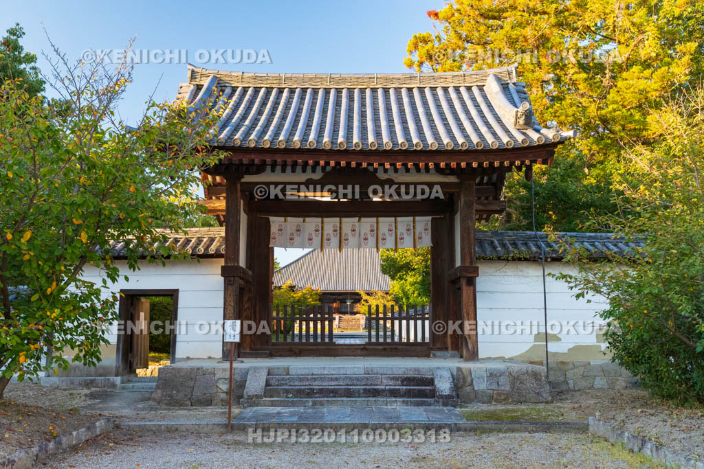 奈良県　西大寺　南門
