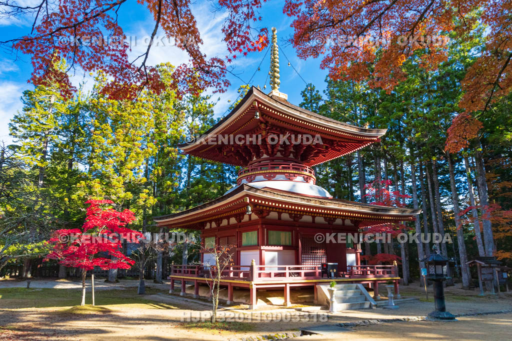 和歌山県　高野山　壇上伽藍　紅葉と東塔