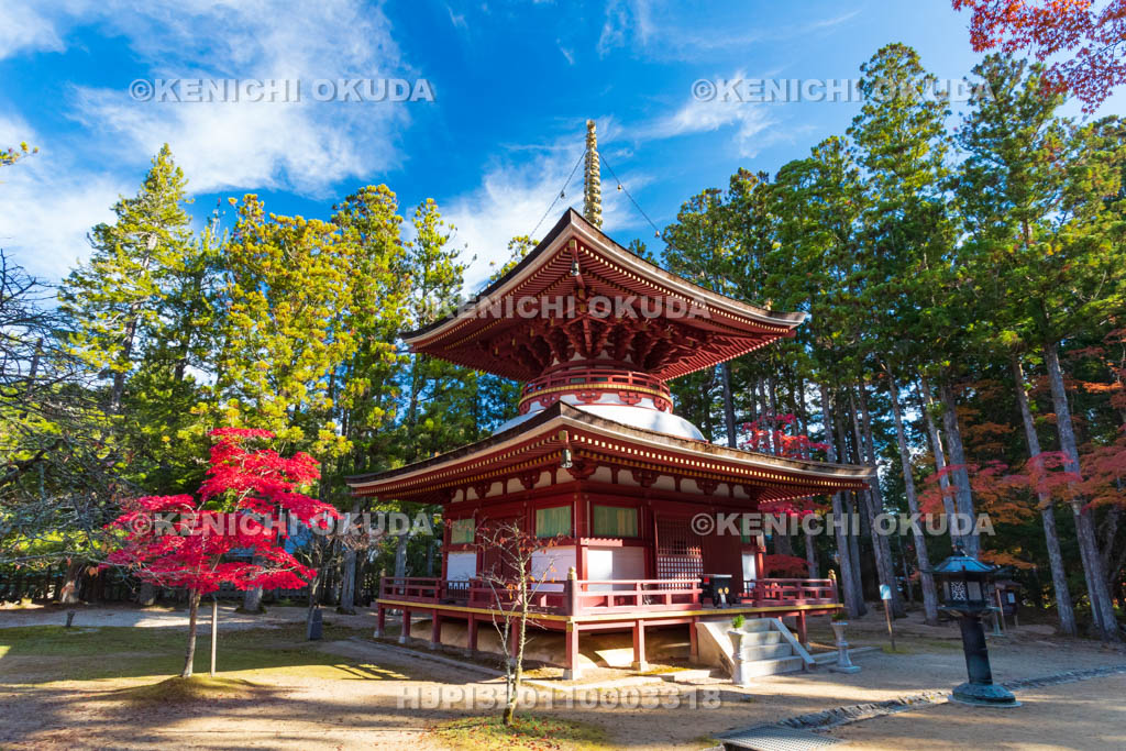 和歌山県　高野山　壇上伽藍　紅葉と東塔